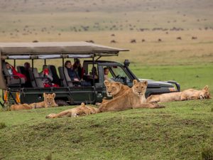 MASAI MARA