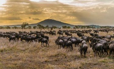 Serengeti National Park