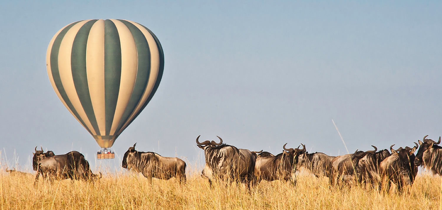 Huidige weerstand bieden Kaal Masai Mara Hot Air Balloon Safari | Masai Mara Hot Air Balloon Cost  2020-2021 - Masai Mara Holidays
