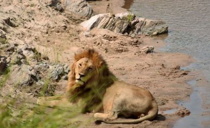 mara masai safari