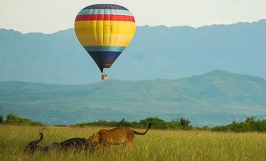 21 Days East Africa Wildlife Safari and Beach Holiday