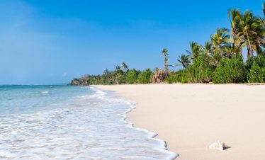 11 Days Kenya Wildlife and Beach Safari