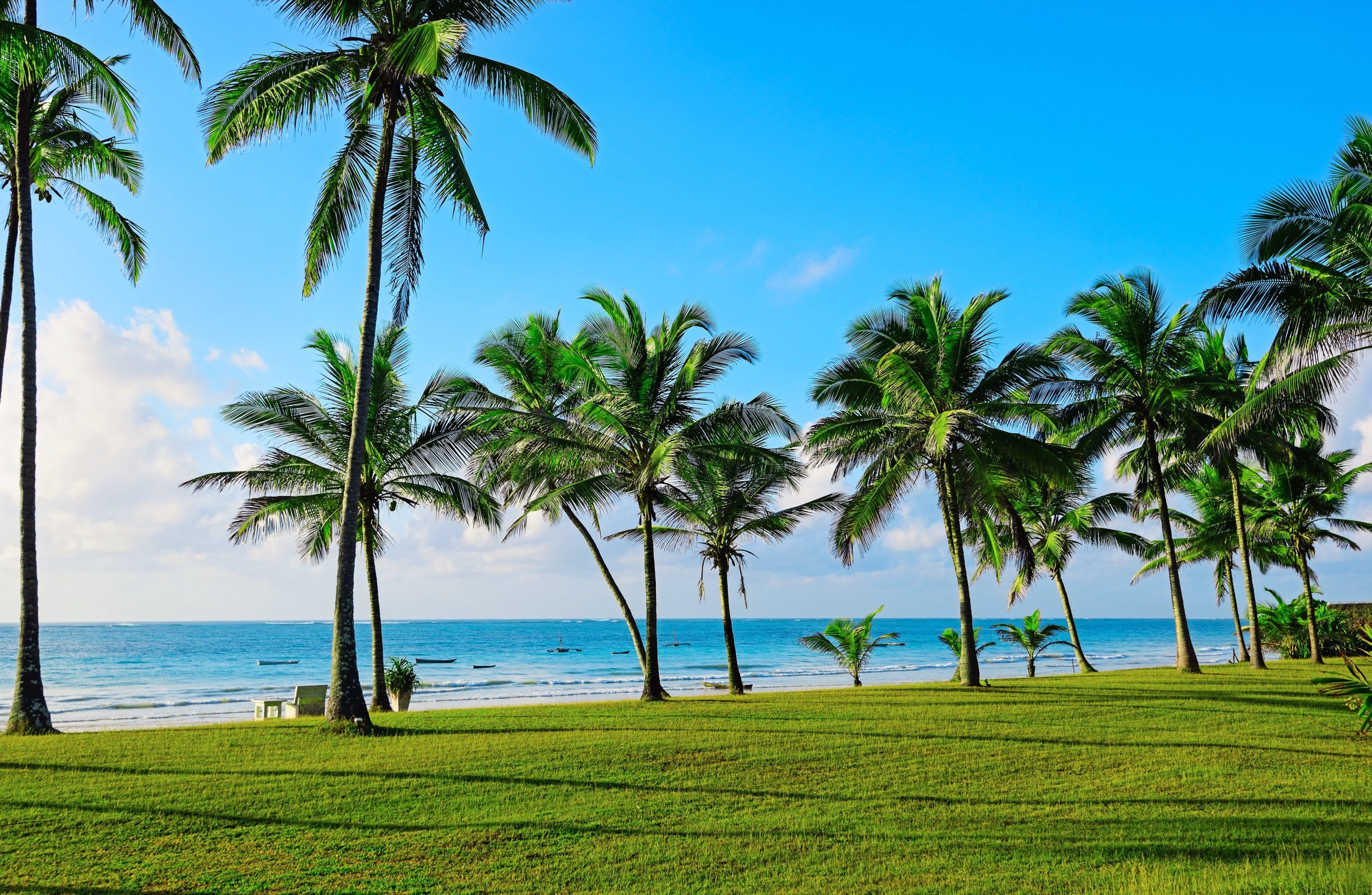 Luxury Kenya Bush & Diani Beach Holiday
