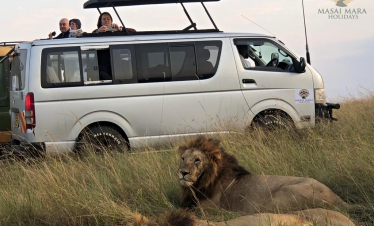 serengeti safari