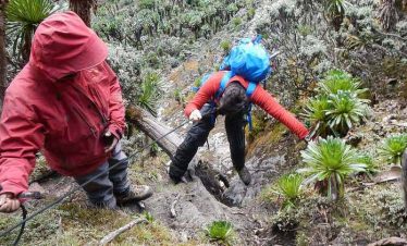 Rwenzori Mountain Trekking