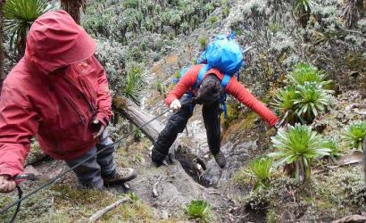 Rwenzori Mountain Trekking