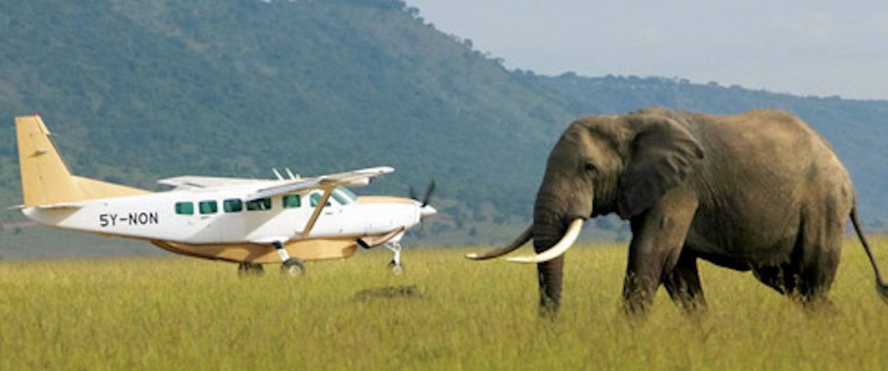 flights to Masai Mara National Reserve