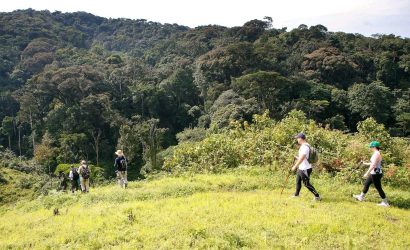 4 day gorilla and hiking safari Uganda