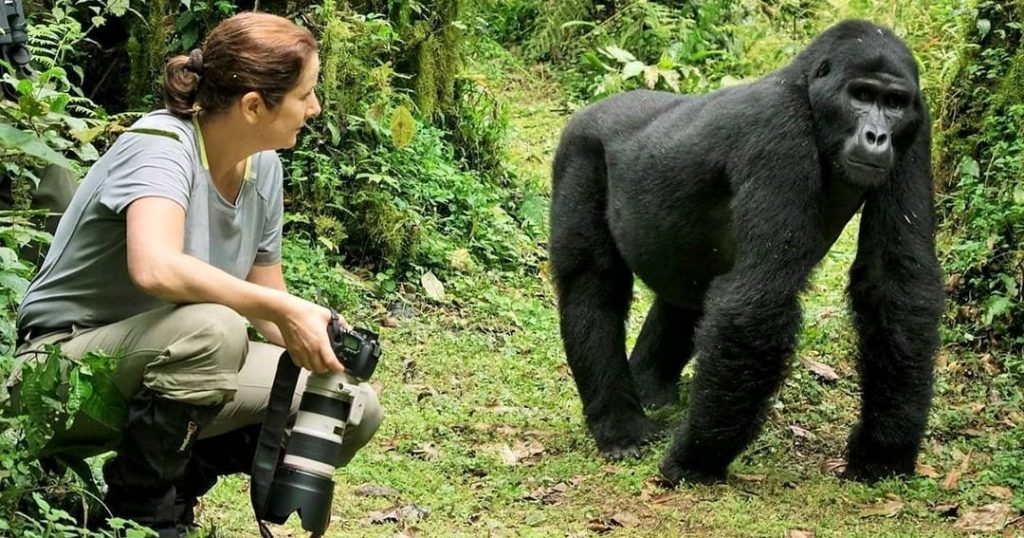 3 day gorilla trekking Uganda