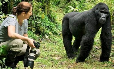 3 day gorilla trekking Uganda