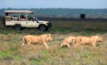 4 Day Murchison Falls Tour