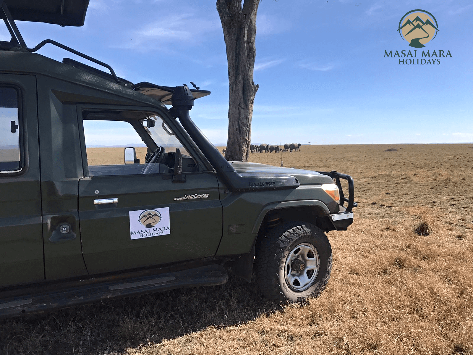 masai mara safaris