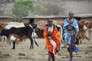 masai mara tribe