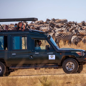 4 Day Masai Mara Safari