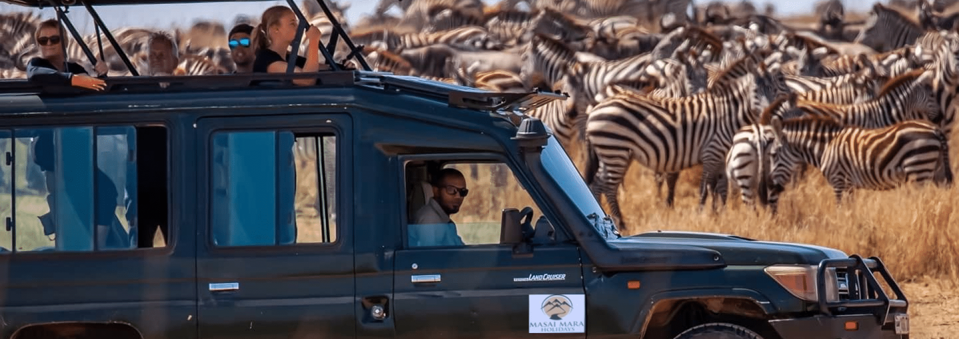 book a safari holiday