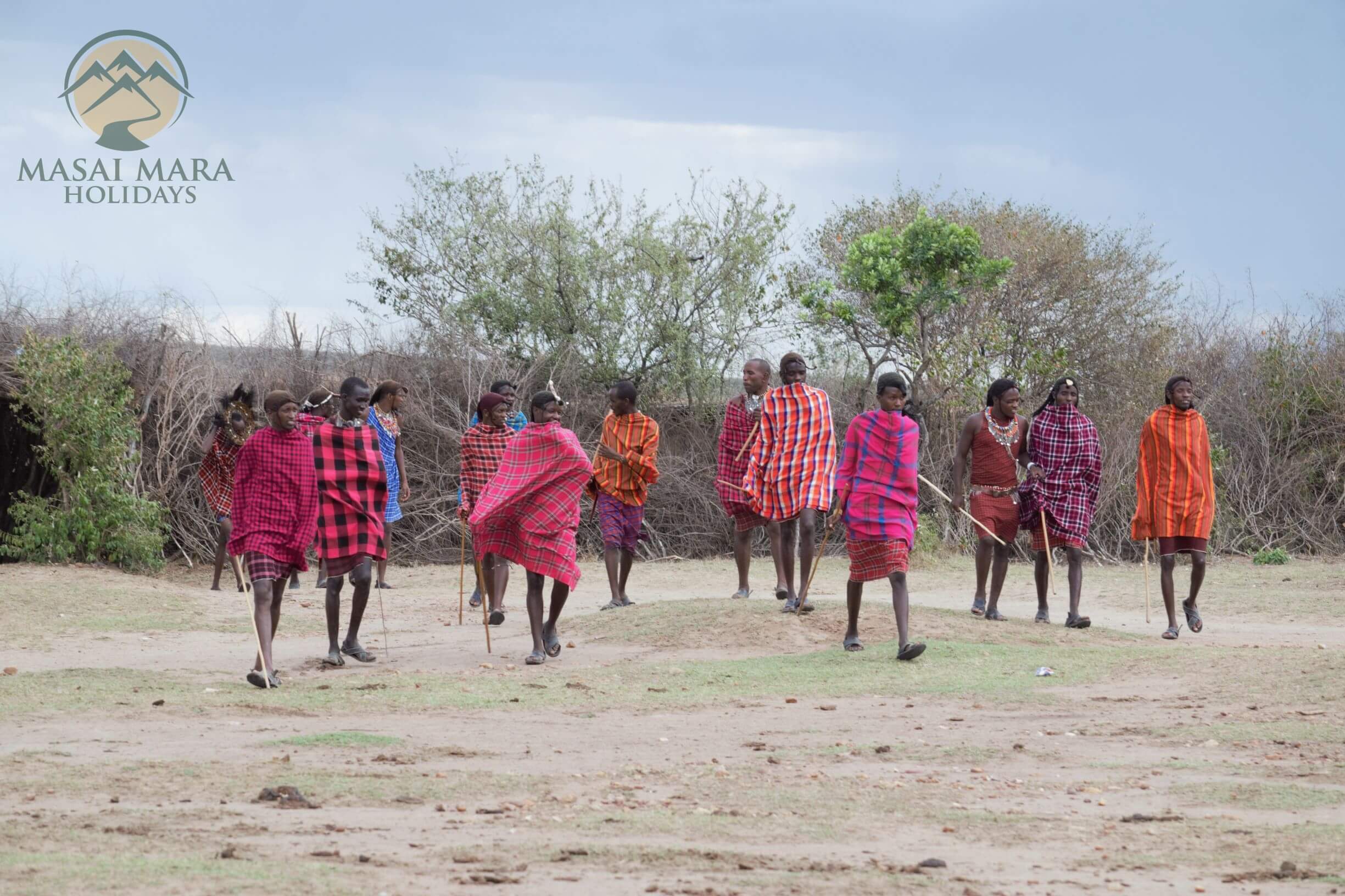 Kenya safari masai mara