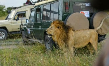 8 Days Masai Mara, Lake Naivasha, Hells Gate & Mombasa Beach Safari