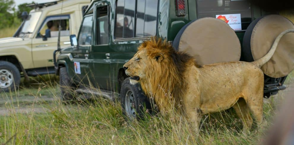 safari masai mara 3 days