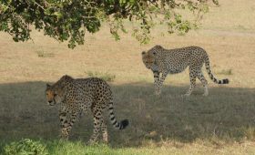 masai safari holidays