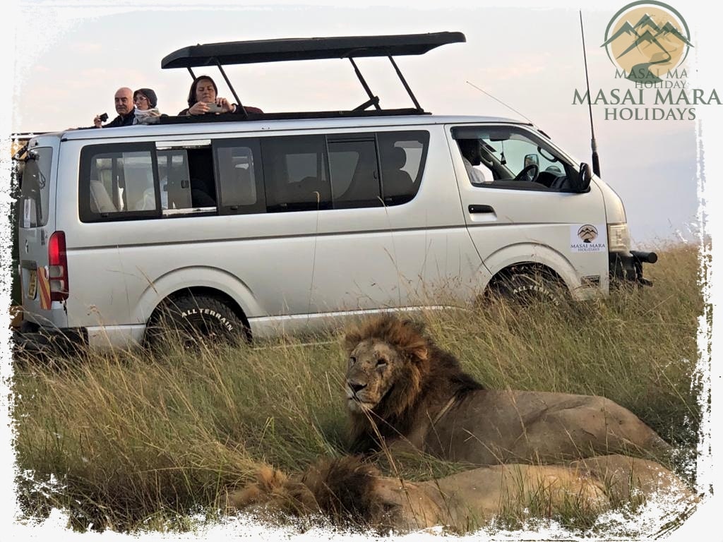 masai mara safari