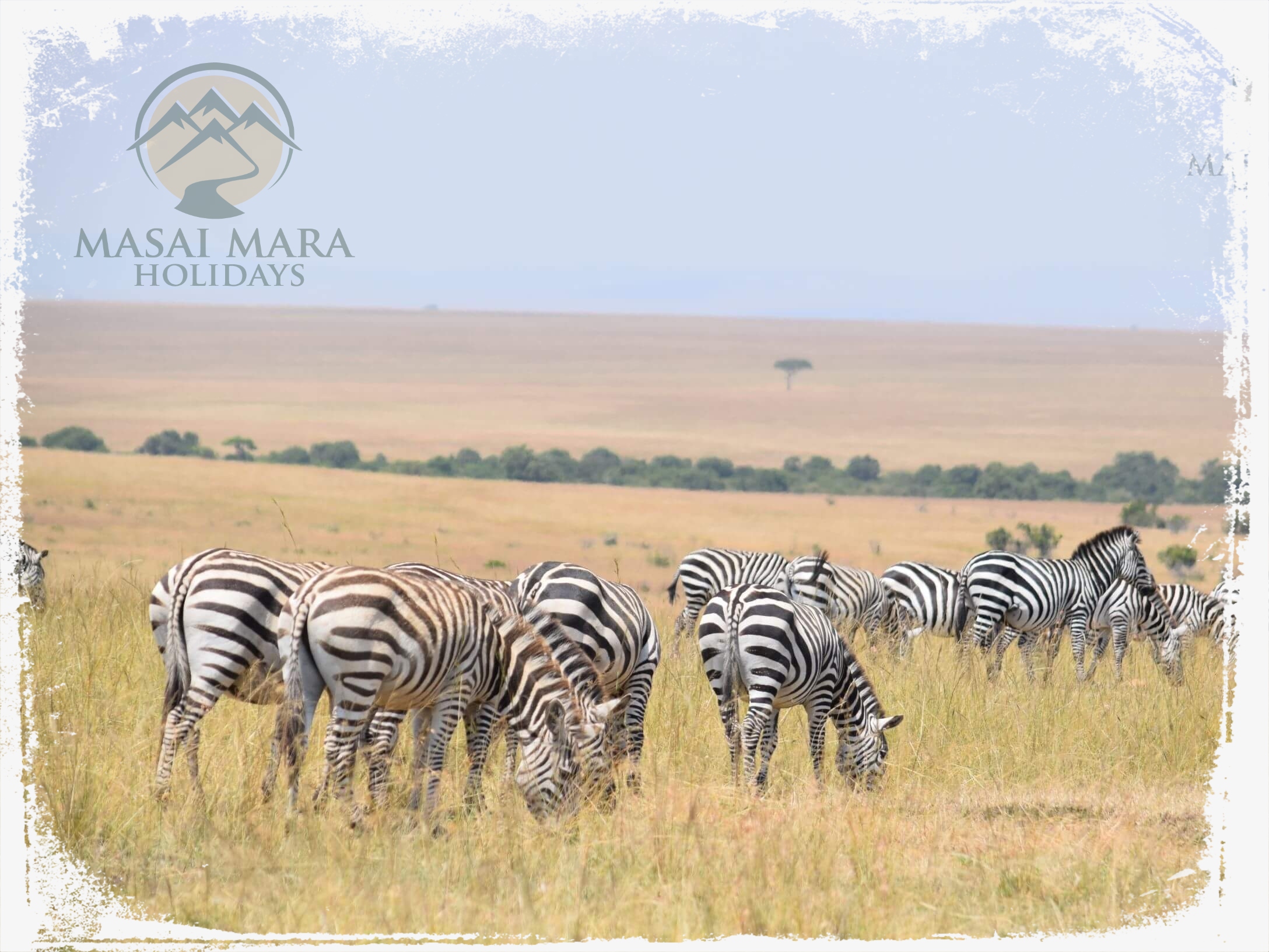 masai mara safari